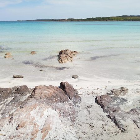 Ampio Trilocale Sul Golfo Di Marinella Villa Marinella  Kültér fotó